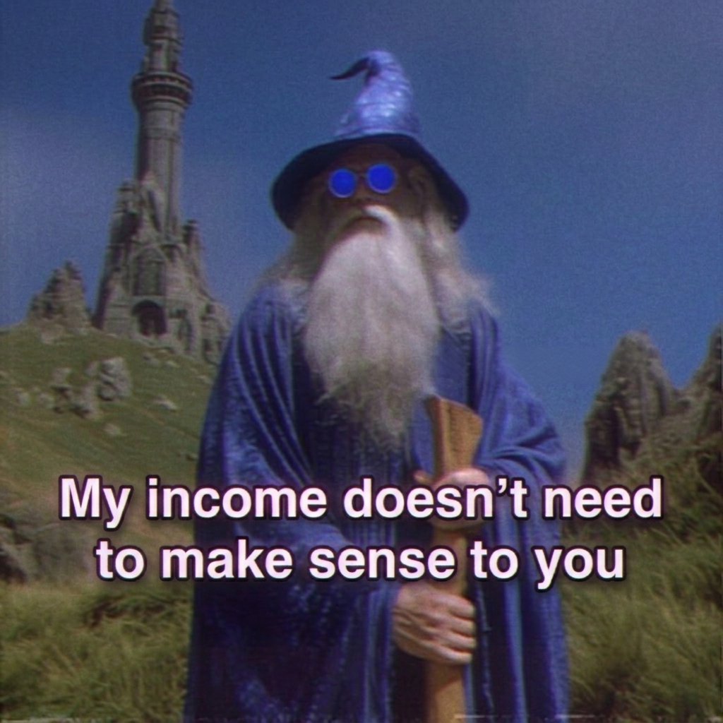 my income doesn't need to make sense to you